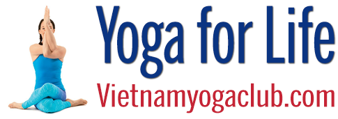 vietnam yoga club